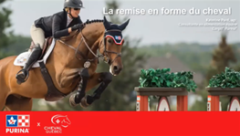Nutrition équine : Augmenter et entretenir la masse musculaire du cheval