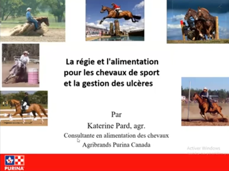 Nutrition équine : La régie et l'alimentation pour les chevaux de sport et la gestion des ulcères