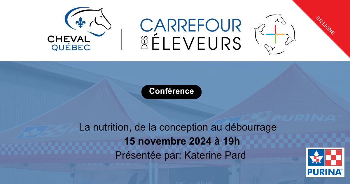 Nutrition équine : La nutrition, de la conception au débourrage