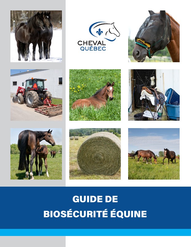 Biosécurité équine - Guide de biosécurité équine