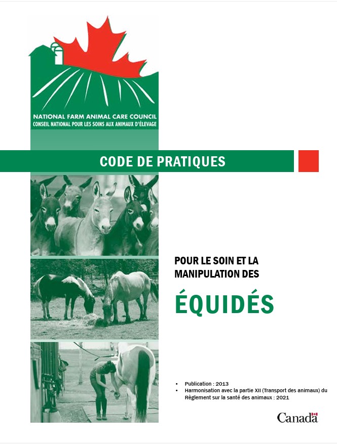 Code de pratiques pour le soin et la manipulation des équidés