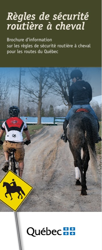Sécurité routière - Règles de sécurité routière à cheval