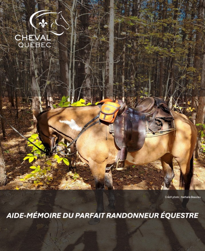 Aide-Mémoire du parfait randonneur équestre