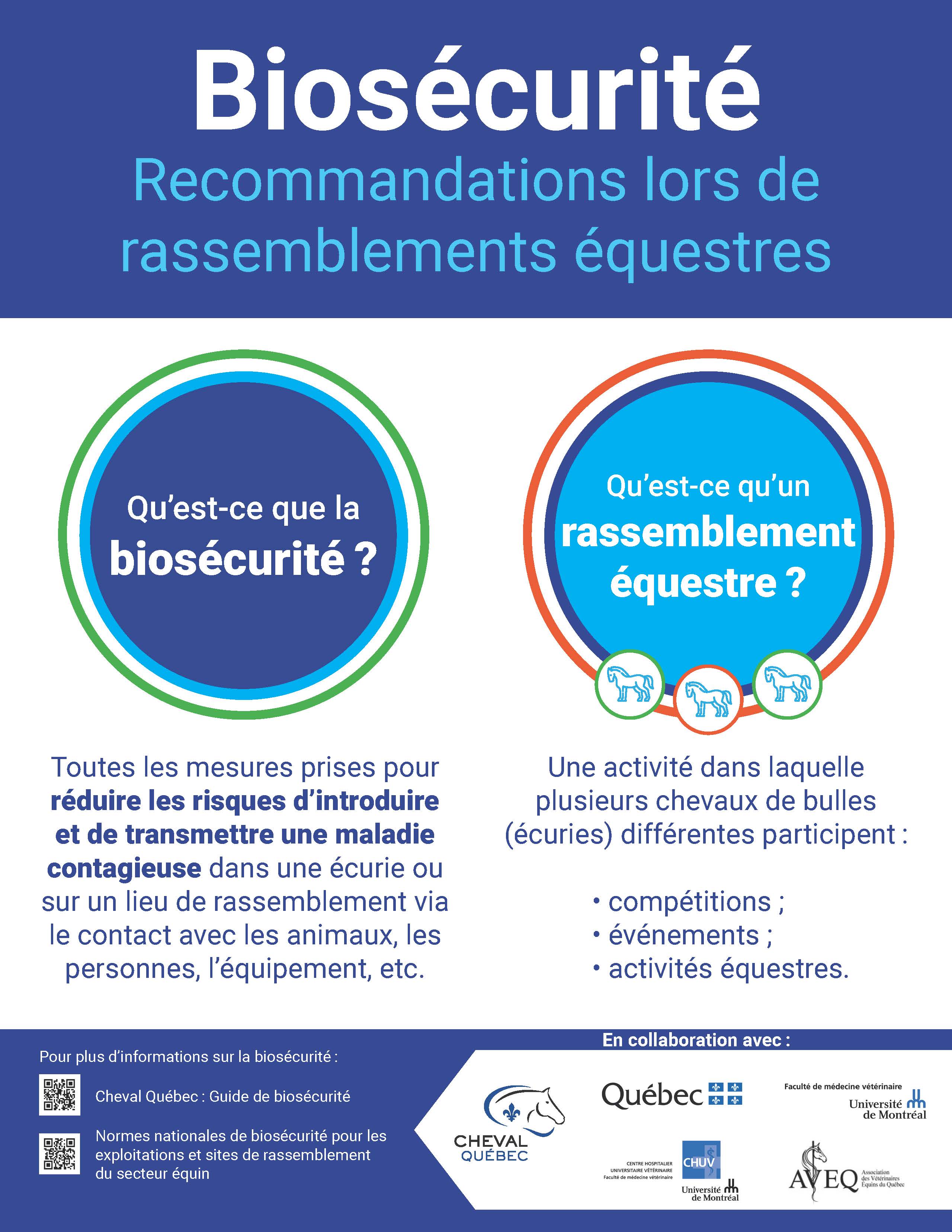 Recommandations lors de  rassemblements équestres